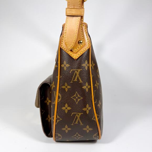 Louis Vuitton Monogram Hudson GM - Picture 5 of 15